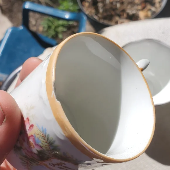 Royal Albert Gold and Floral Teacup Set - Picture 8 of 13